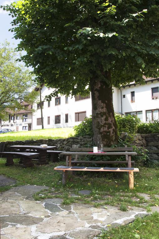 Juvanova Hisa - Apartments And Rooms Luče Exterior foto